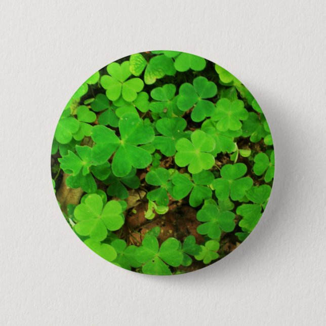 VildShamrocks Knapp (Framsida)