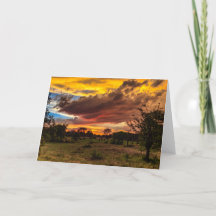 Vildsolnedgång, Sydafrika