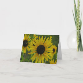 Vildsolrosor noterar kort/hälsningkort 1 kort