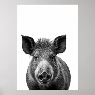 Vildsvin Skog Modern Porträtt svart vitt Poster
