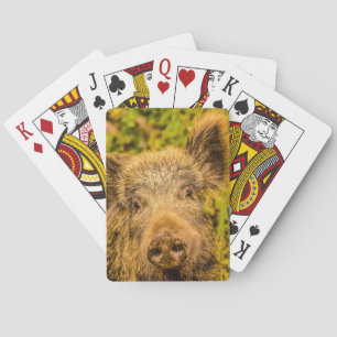 Vildsvin Spel Kort