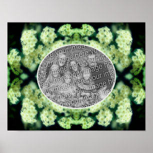 Vildsvinande Vita Rosor Skapa Din Egen Foto Poster