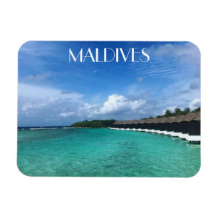 vildsvind magnet