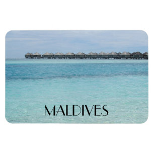 vildsvind magnet