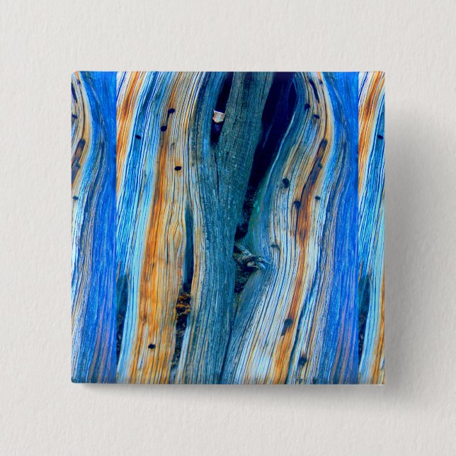 vildsvinda knapp (Framsida)