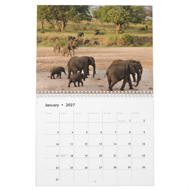 VildTanzania kalender (Jan 2027)