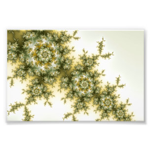 Vildväxt - Mandelbrot Fractalkonst Fototryck