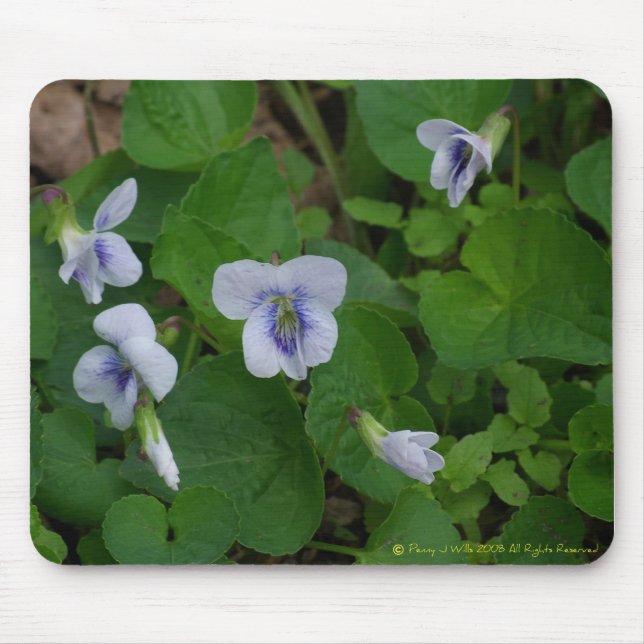 VildViolet Mousepad Musmatta (Framsidan)