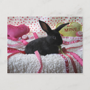 Vilken Bunny Kärlek du! Vykort