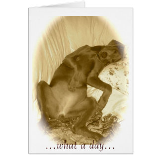 ...vilken dag... hälsningskort