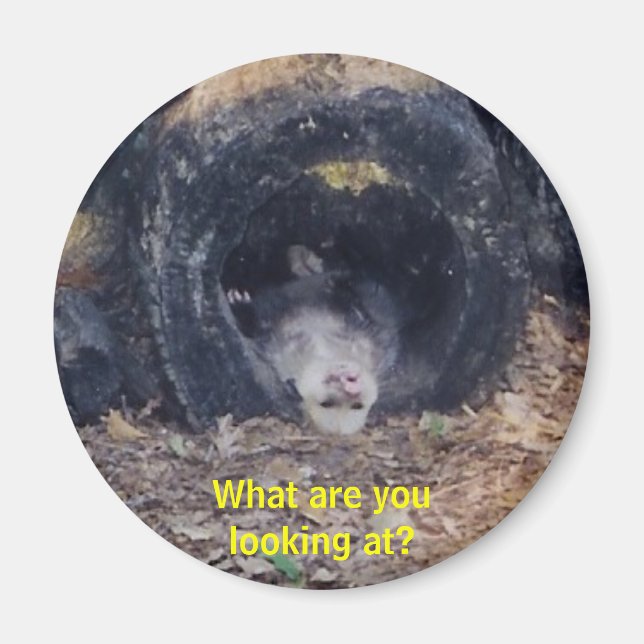 Vilken dag! - magnet (Framsidan)