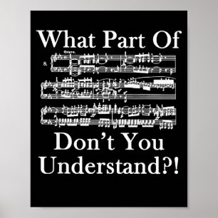 Vilken Del Av Musiken Förstår Du Inte Rolig Musik Poster
