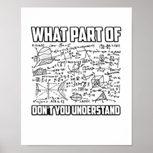 Vilken Del Förstår Du Inte? Rolig Matematik Poster