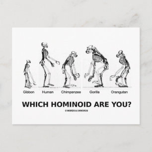 Vilken hominoid är du? (Hominid Skeletons) Vykort