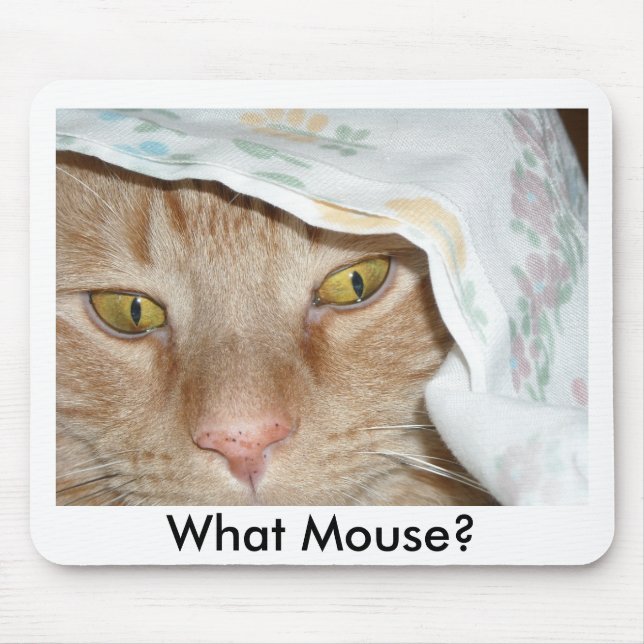 Vilken mus/Orange Tabby katt Humor Musmatta (Framsidan)