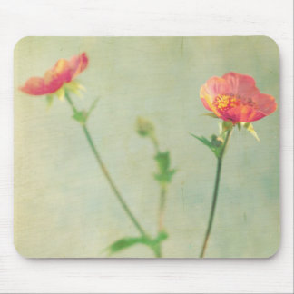 Vilken nästa Mousepad Musmatta