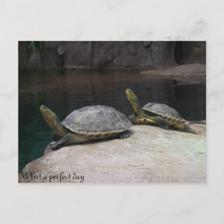 Vilken perfekt? vykort