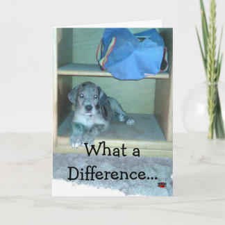 Vilken skillnad ett år gör!!!! kort