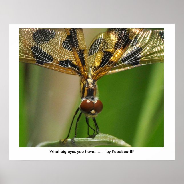 Vilken stor ögon du har..... .. poster (Framsidan)