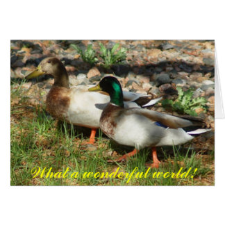 Vilken underbar värld! hälsningskort