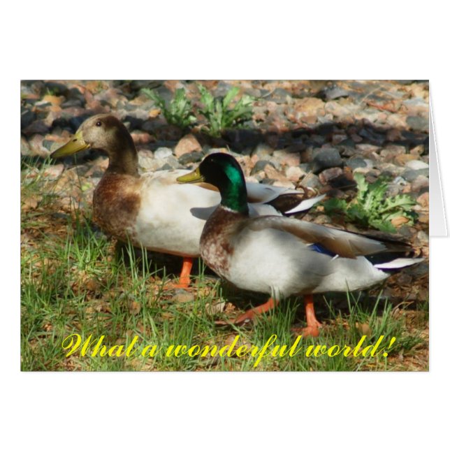 Vilken underbar värld! hälsningskort (Framsidan Horizontal)