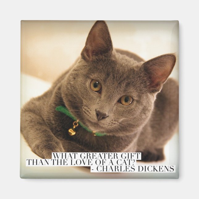 Vilken Underbarare gåva än Kärlek i en katt? Magnet (Framsidan)