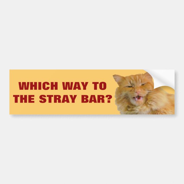 Vilken väg till Stray Bar? Bildekal (Framsidan)