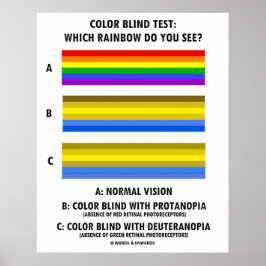 Vilket regnbåge ser du i färg Blind? Poster