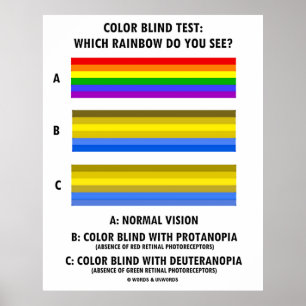 Vilket regnbåge ser du i färg Blind? Poster