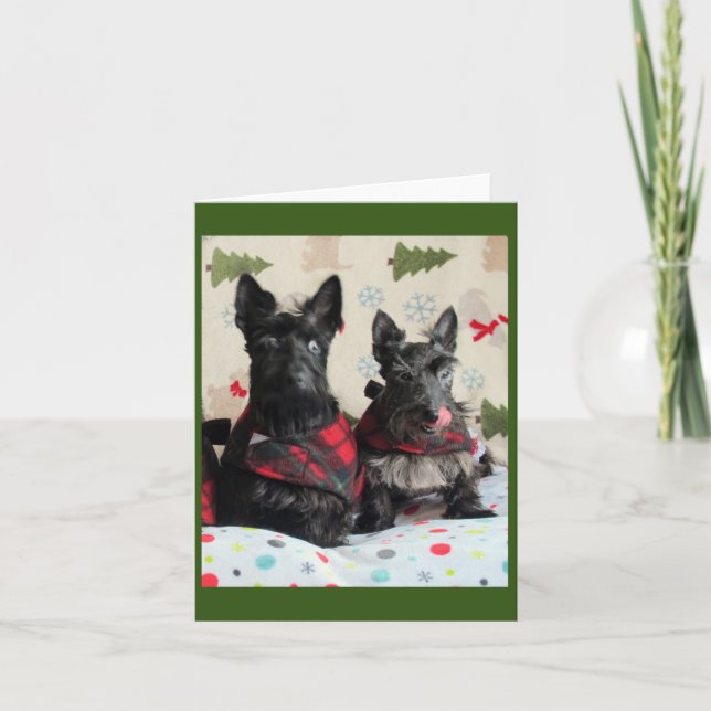 Vilket Ren? Kort (Framsida)