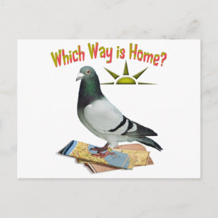Vilket sätt är hem? Pigeon Art Vykort