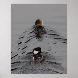 Vilket sätt poster