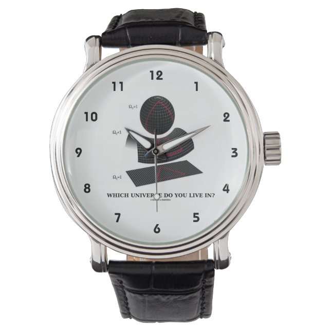 Vilket universum bor du i? Physics Humor Armbandsur (Framsida)