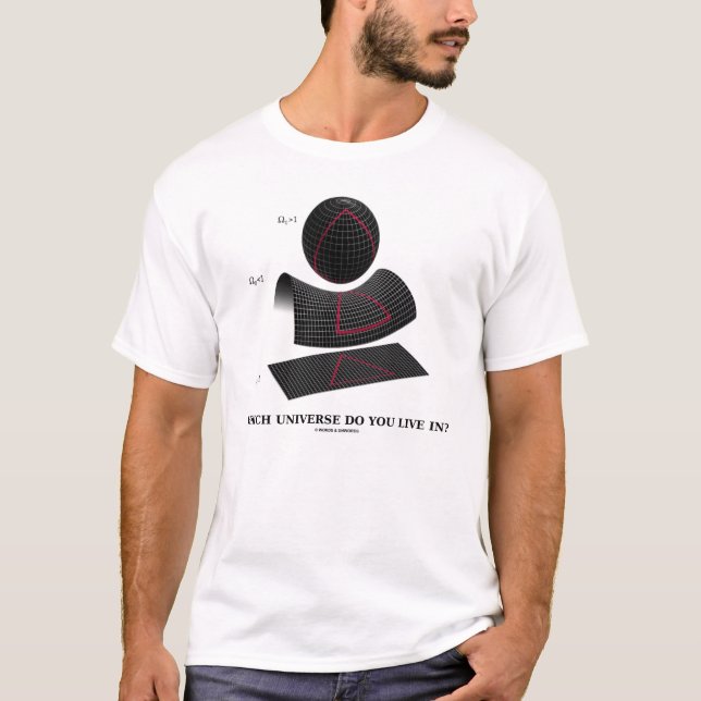 Vilket universum bor du in? t-shirt (Framsida)