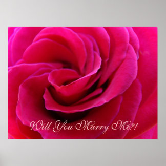 Vill du gifta dig med mig?! Rosa ros konsttryck Br Poster
