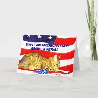 Vill du ha en amerikansk katt? Anta en Feral! Kort