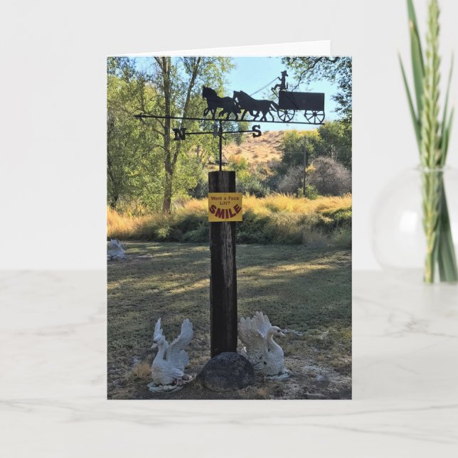 Vill du ha en Facelift, Smile, Funny Sign Kort (Framsida)