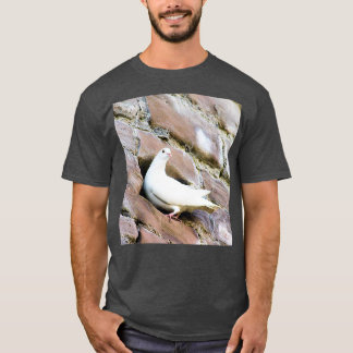 Vill du ha kom i 1 t shirt