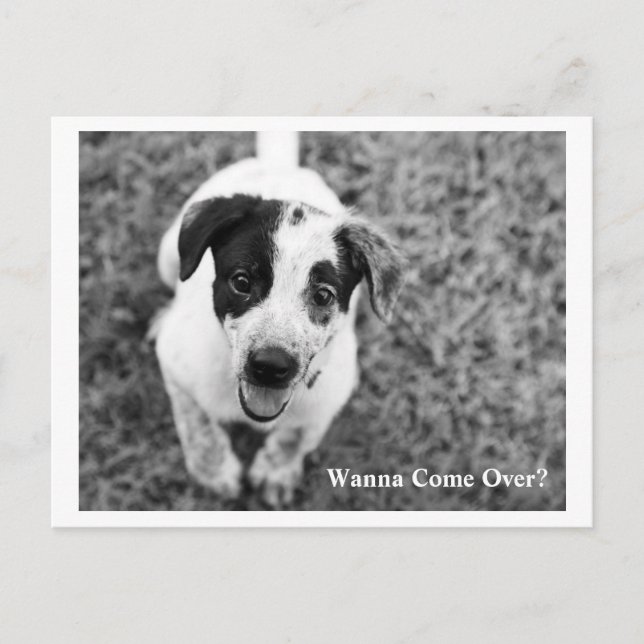 Vill du ha Kom över? Vykort (Framsida)