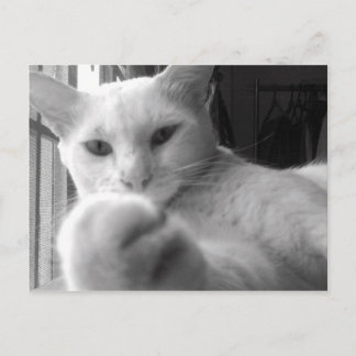 "Vill du ha min Tass?" Vykort