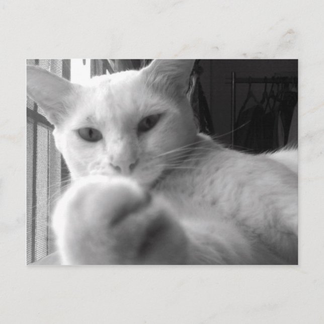 "Vill du ha min Tass?" Vykort (Framsida)