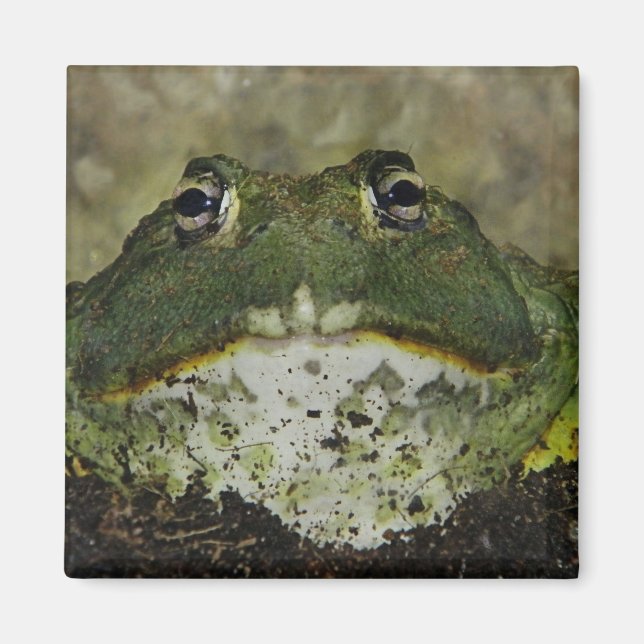 Vill du smoka? magnet (Framsidan)