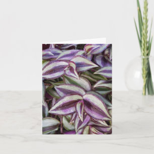 Vill ha jew Photo Folant Note Card Anteckningskort