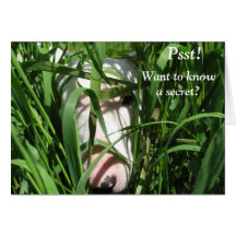 Vill veta en hemlighet