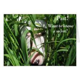 Vill veta en hemlighet hälsningskort