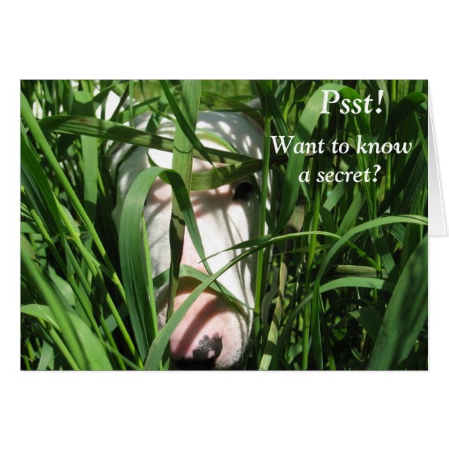 Vill veta en hemlighet hälsningskort (Framsidan Horizontal)