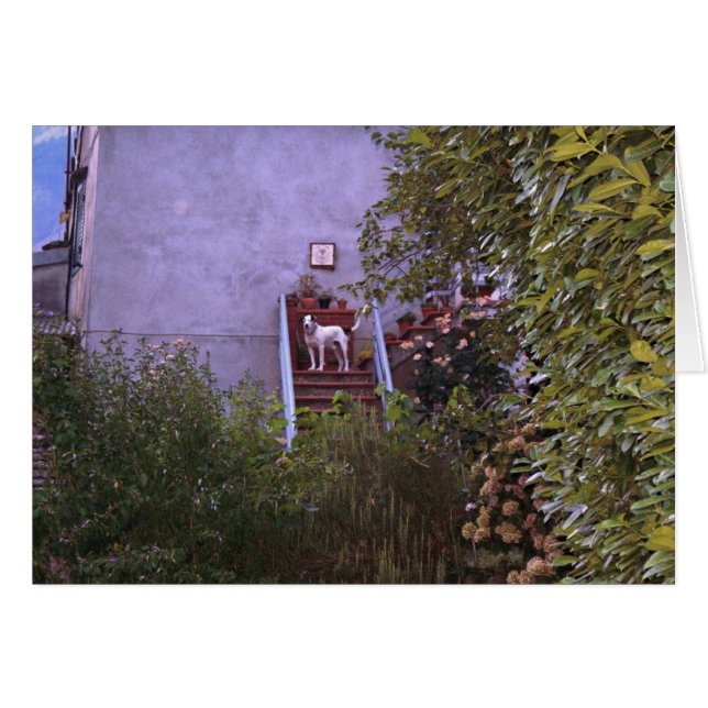 Villaaurora OBS Kort (Framsidan Horizontal)