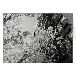 Village Cherry Blommars Hälsningskort