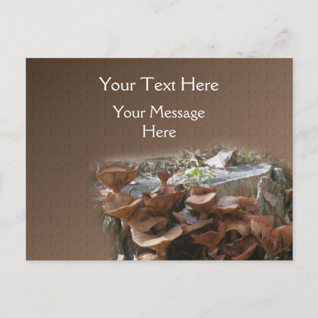 Village Nature Mushroom Vykort (Framsida)