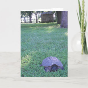 "Village Snapping Turtle" födelsedagskort Kort